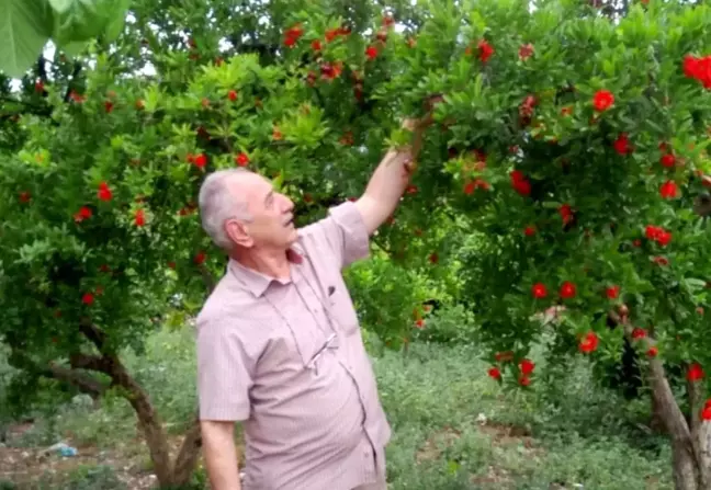 Emekli Polis Memuru Antalya'da Boğularak Hayatını Kaybetti