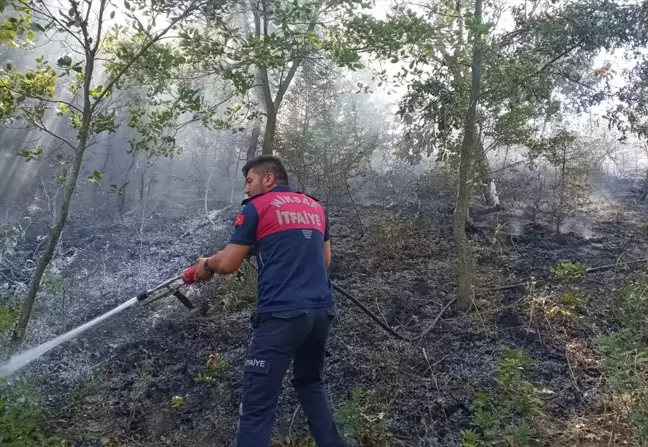 Tokat'ın Niksar ilçesinde çıkan örtü yangını söndürüldü