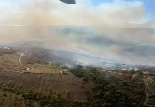 İznik'teki Orman Yangınına Havadan ve Karadan Müdahale Sürüyor