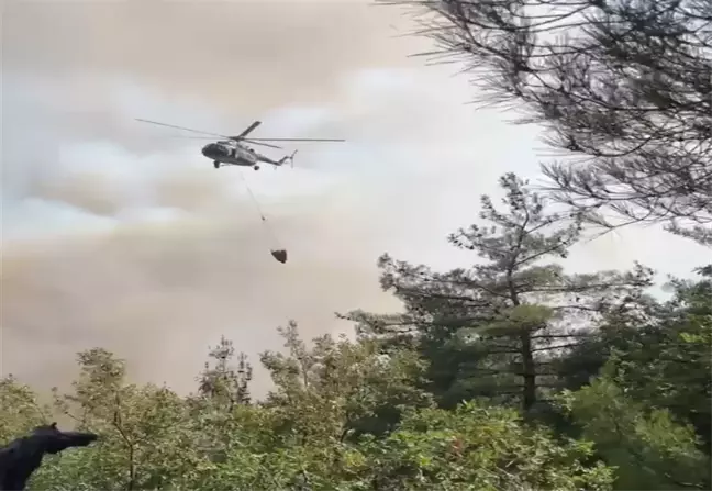 İznik'teki Orman Yangını Kontrol Altına Alındı