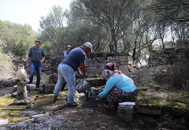 Aigai Antik Kenti'ndeki Sarnıçlar Hala Kullanılıyor