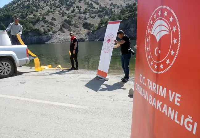 Kars'taki baraj ve göletlere 1 milyon 680 bin sazan yavrusu bırakıldı