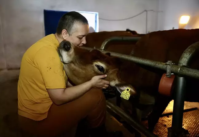 Hayvancılıkla Hayata Tutunan Derya Bekdemir