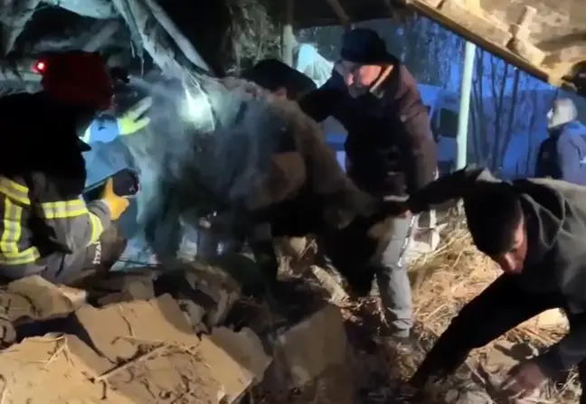 Yüksekova'da Ahırın Çökmesiyle Yaralı Hayvanlar Kurtarıldı