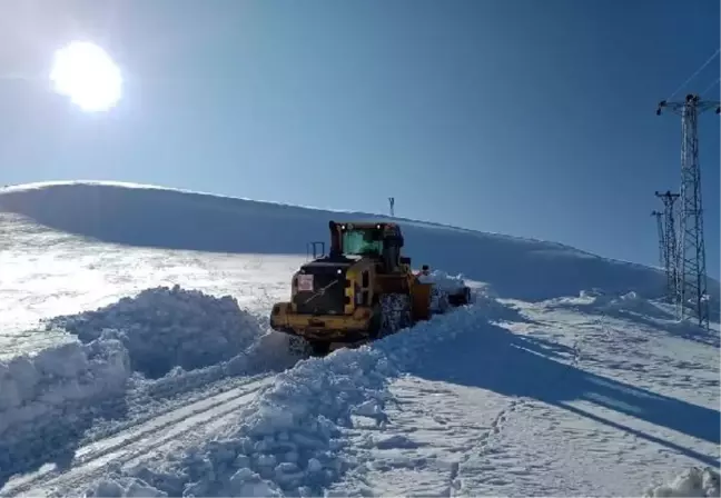 Van'da Kar Yağışı Nedeniyle 429 Yerleşim Yerinin Yolu Kapandı
