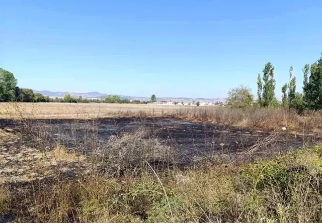 Kütahya'nın Tavşanlı ilçesinde boş arazide yangın çıktı