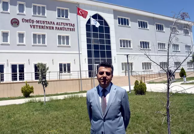 Popülasyondaki artış ve besin azlığı Tuz Gölü'nde yavru flamingo kayıplarına neden oluyor