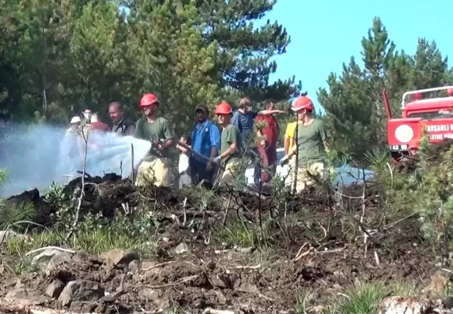 Tavşanlı'da ormanlık alanda çıkan yangın büyümeden söndürüldü