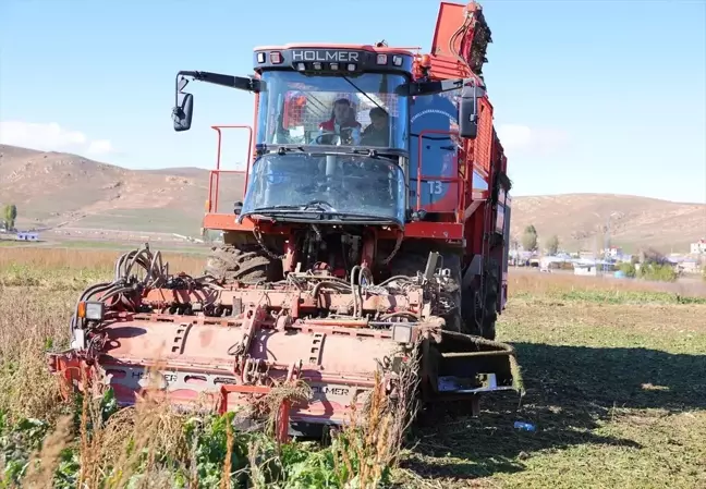 Bayburt'ta Şeker Pancarı Hasadı Devam Ediyor