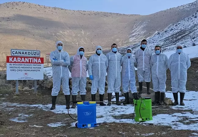 Tatvan'da Şap Hastalığı Nedeniyle Karantina Uygulaması Başlatıldı