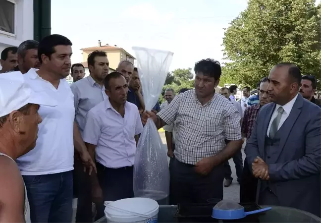 Afyonkarahisar'da Göl ve Göletlere 535 Bin Adet Balık Bırakıldı