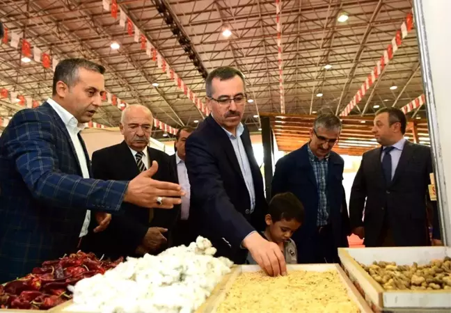 Başkan Güngör: