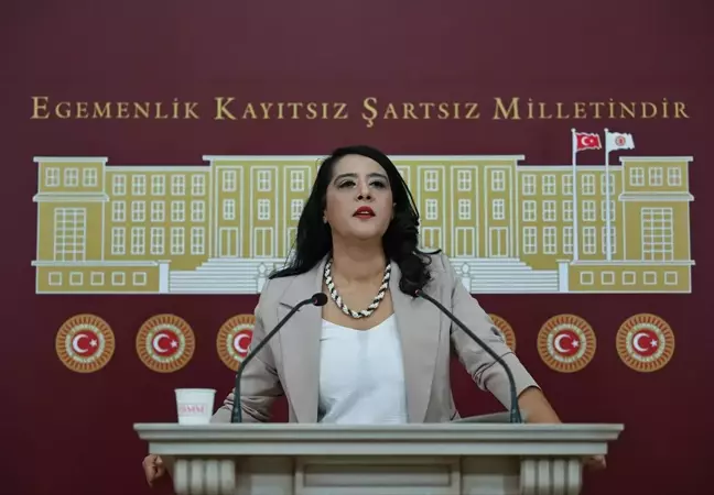 EMEP Milletvekili Demir: Demokrasi ve barış halk güçleriyle gelecektir