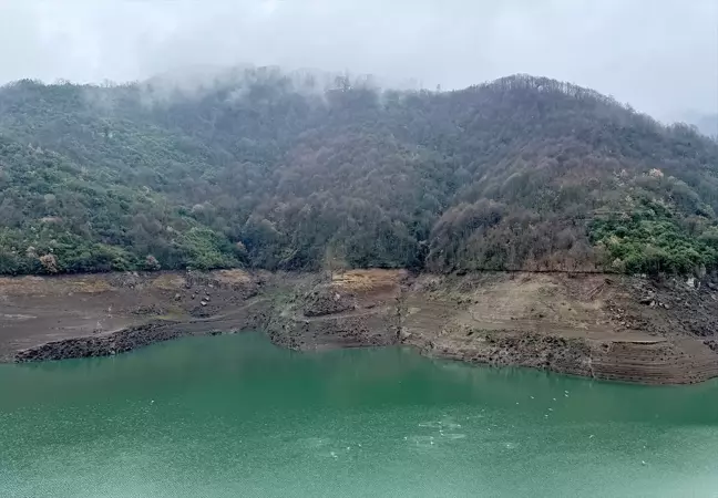 Yeni Yıl Hazırlıkları Başladı: Bolu ve Kocaeli Doğa ile Buluşuyor