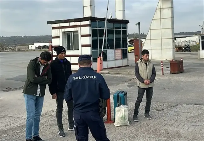 Düzensiz Göçmenler Ayvalık'ta Yakalandı