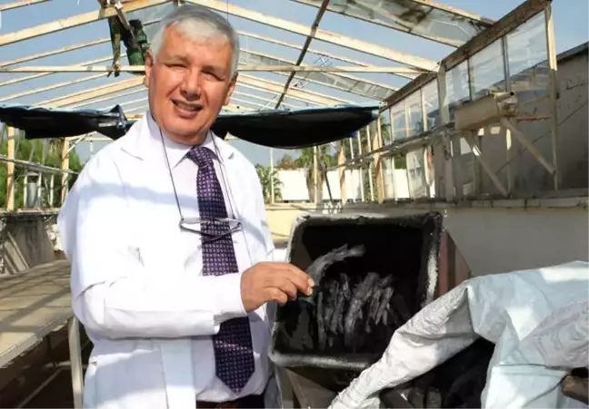ABD'nin Türkiye Politikasına Karşı Yeni Öneri: