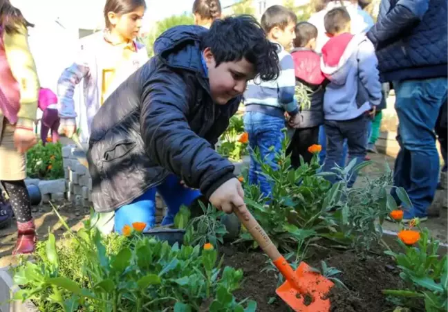 Bucalı miniklere