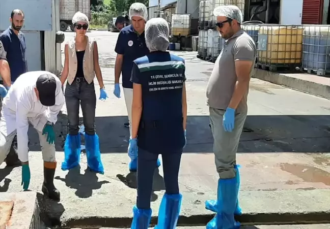 Bolu'da Su Kirliliğine Karşı Denetimler: 16 İşletmeye Ceza Verildi, 61 Tesis Faaliyetten Men Edildi