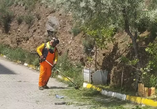 Gemlik'te Yabani Otlar Temizleniyor