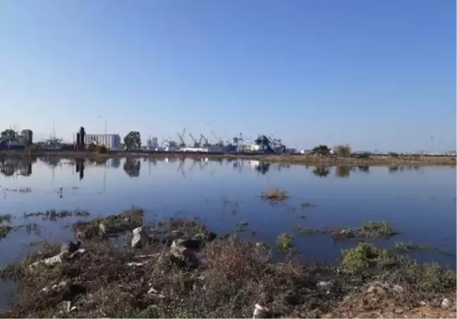 Son dakika! İzmir'de sele neden olan yağışlar barajları doldurmadı, kar bekleniyor
