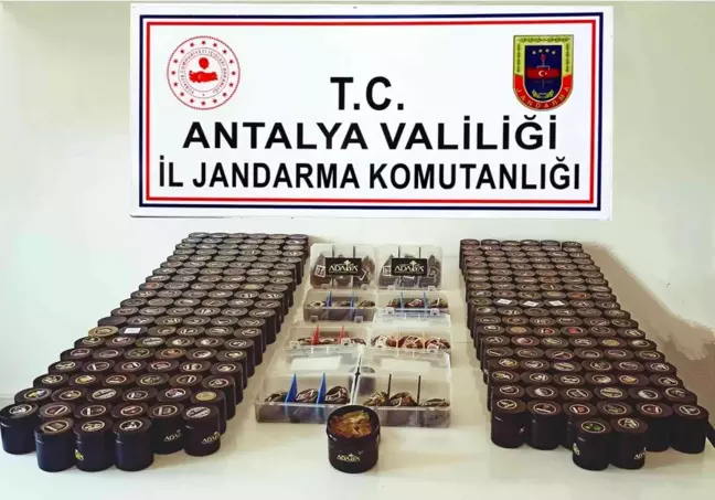Antalya'da 268 paket kaçak nargile tütünü ele geçirildi