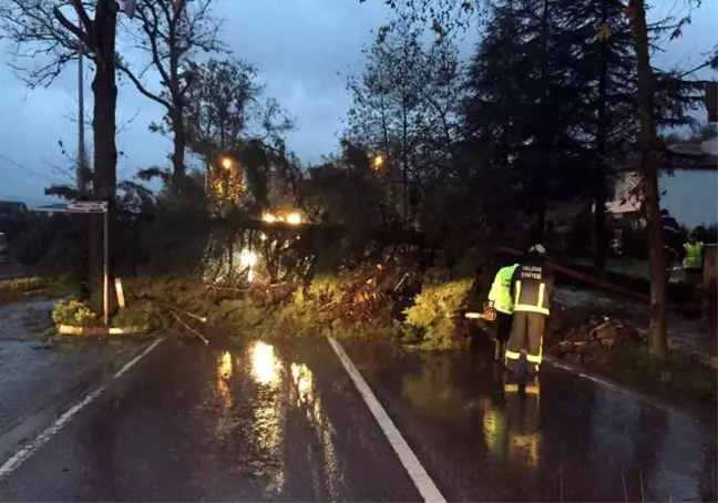 Yalova Belediyesi Ekipleri 274 Olaya Müdahale Etti
