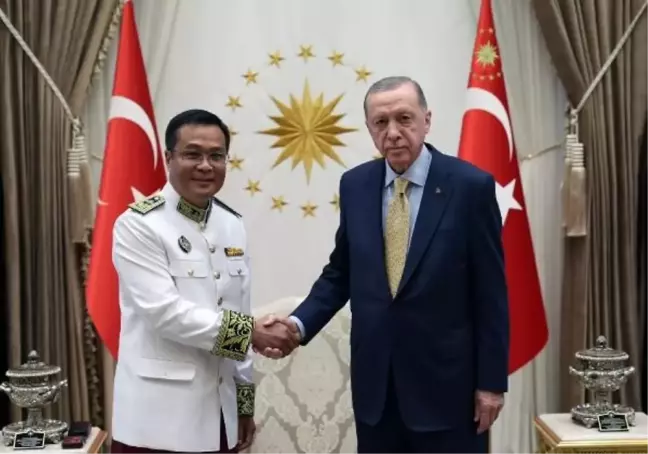 Büyükelçilerden Cumhurbaşkanı Erdoğan'a güven mektubu