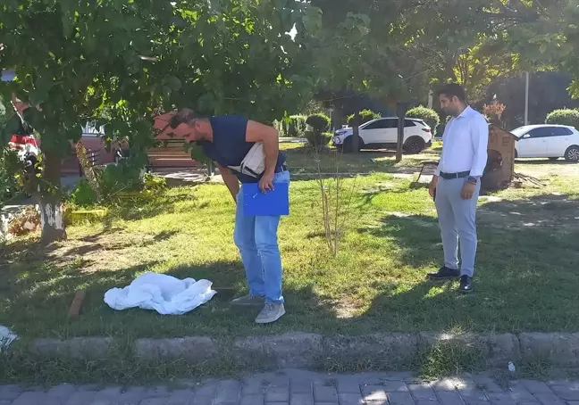 Manisa'da vahşet! Bacakları kesilmiş halde bulundu