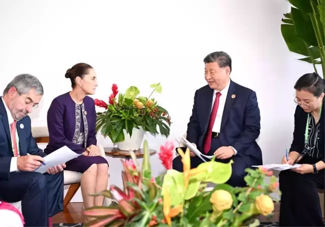 Xi Jinping'den Meksika ile İlişkiler İçin Destek Çağrısı