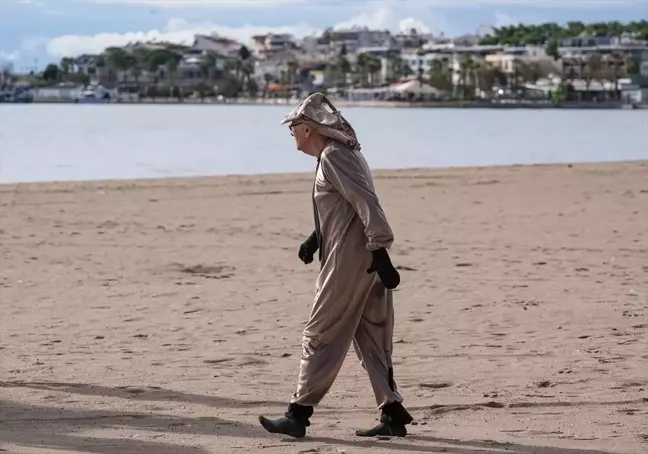 İngilizler Didim'de Sahipsiz Hayvanlar İçin Soğuk Suda Denize Girdi