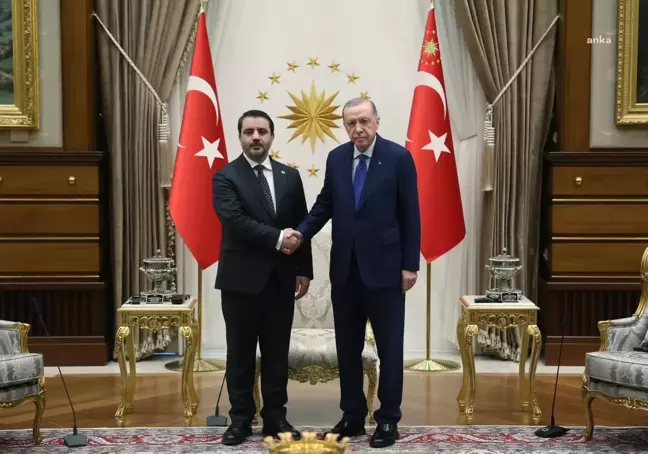 Cumhurbaşkanı Erdoğan, Suriye Dışişleri Bakanı Esad Hasan Şeybani'yi Kabul Etti