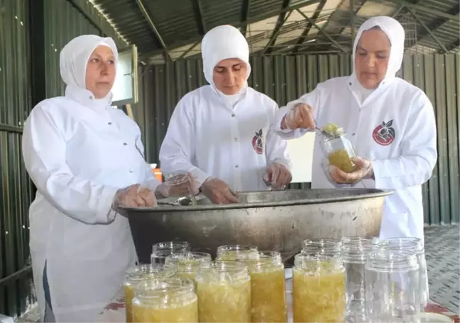 Kabak Reçeli Yapmayı Öğrendiler