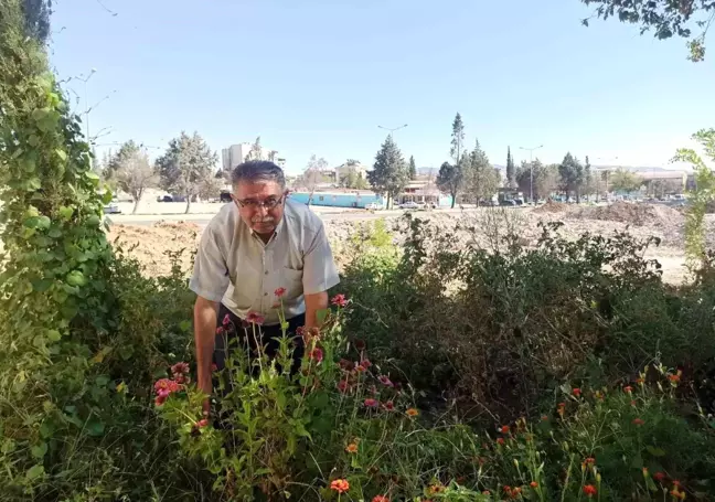 Kahramanmaraş'ta bir muhtar enkaz halindeki mahallesini yeşillendirdi