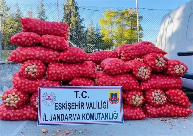 Eskişehir'de Soğan Hırsızlığı