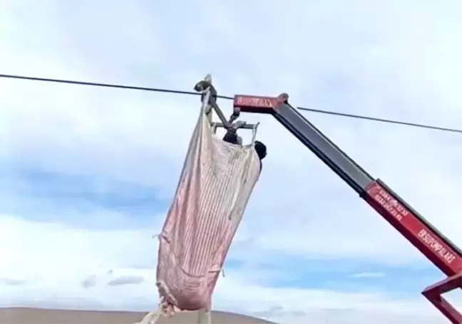 Nevşehir'de Mahsur Kalan Kedi İş Makinasıyla Kurtarıldı