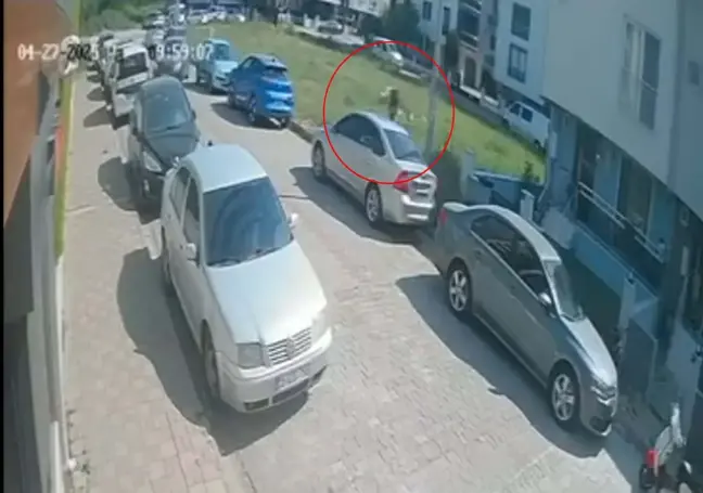 Sokak Köpeklerinden Kaçarken Yaralandı