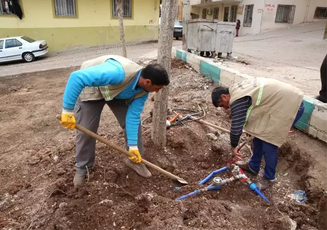 Haliliye'deki Parklarda Mevsimsel Çalışmalar Devam Ediyor