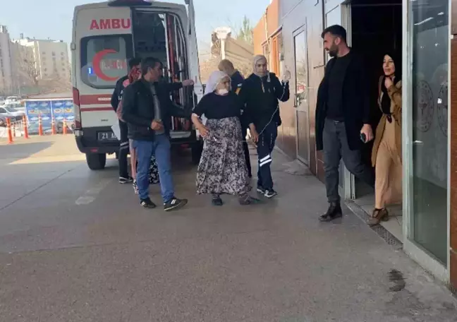 Diyarbakır'da köpek saldırısı: 72 yaşındaki kadın yaralandı