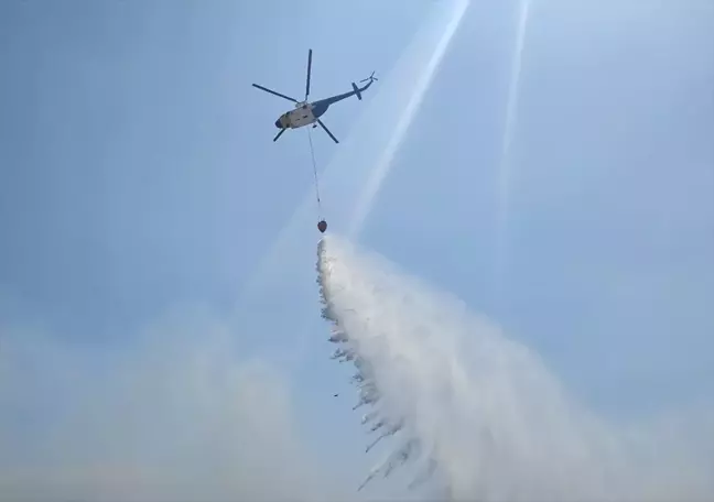 İzmir Dikili'de Orman Yangını: Havadan ve Karadan Müdahale Devam Ediyor