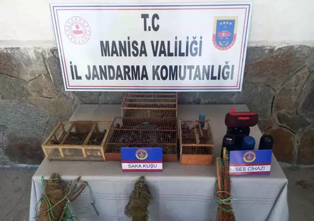 Manisa'da Saka Kuşu Avlayan 4 Kişiye 230 Bin TL Ceza