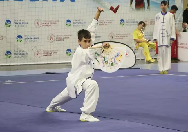 Geleneksel Wushu Türkiye Şampiyonası Sakarya'da Tamamlandı