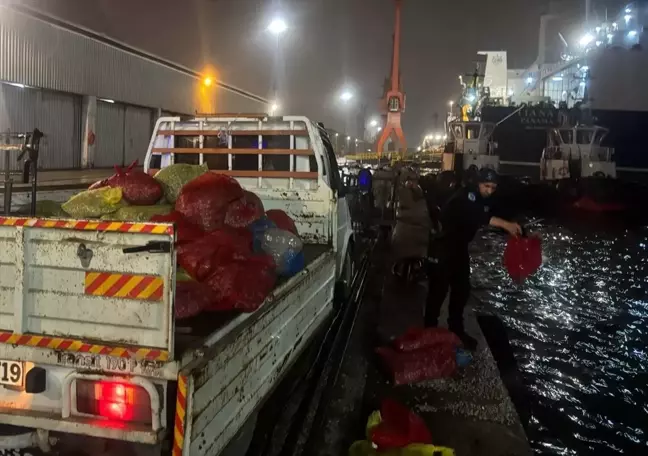 Samsun'da Kaçak Midye Avına Baskın: 2 Ton Ele Geçirildi