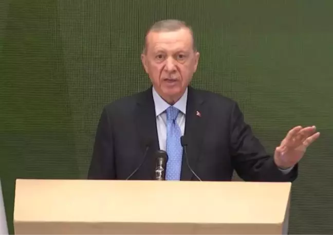 CUMHURBAŞKANI ERDOĞAN: CEZAYİR'LE TİCARET HACMİMİZ REKOR SEVİYE OLAN 5,3 MİLYAR DOLARA YÜKSELDİ- 1