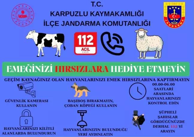 Aydın'da Jandarma, Kurban Bayramı Öncesi Hayvan Hırsızlığına Karşı Bilgilendirme Yaptı