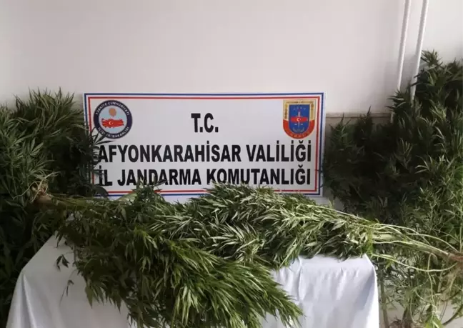 Kardeşliğin 10.yılı Park Afyon'da Kutlanıyor