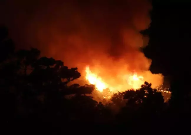 Antalya'da Orman Yangını Devam Ediyor