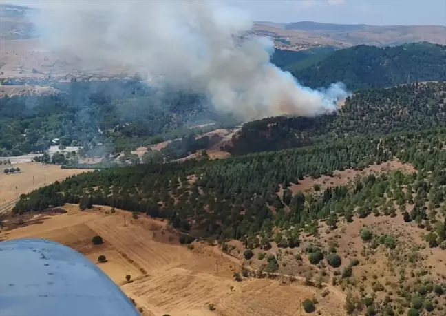 Balıkesir'deki Orman Yangını Kontrol Altına Alındı