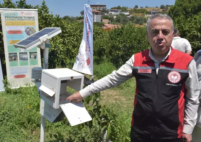 İzmir'de Akdeniz Meyve Sineğiyle Teknoloji Destekli Mücadele