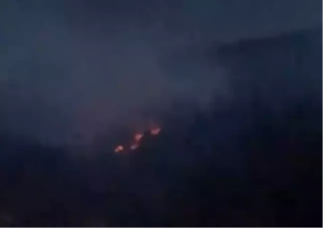 Adana'da Orman Yangınları Kontrol Altına Alındı