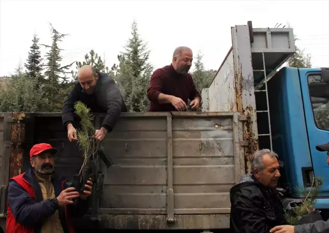 Beypazarı'nda Fidanlar Toprakla Buluştu